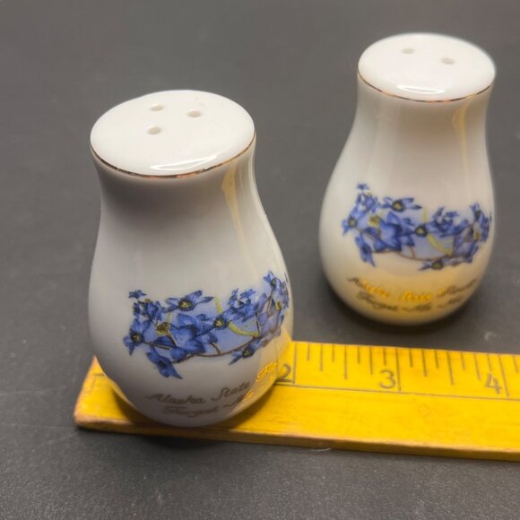 Vintage Alaska State Flower Forget-Me-Not Porcelain Salt & Pepper Shakers - Picture 8 of 10